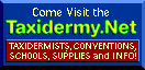 Visit the Taxidermy Net
